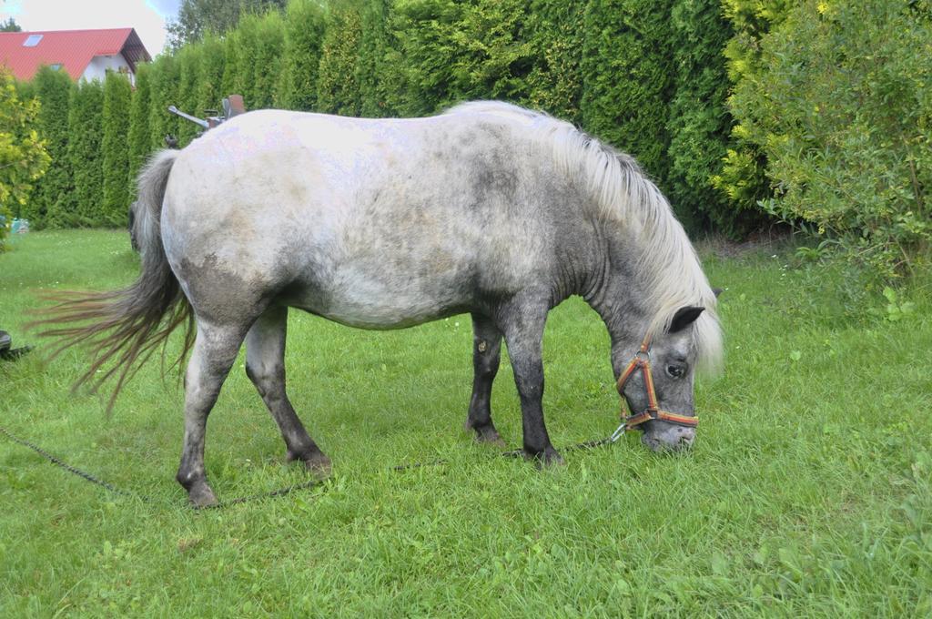 Ziolowa Dolina Olsztyn  Luaran gambar